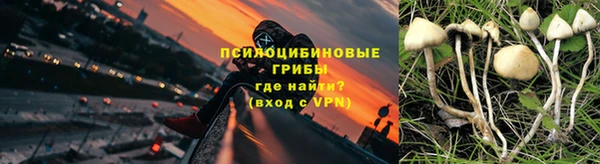 гидропоника Михайловск