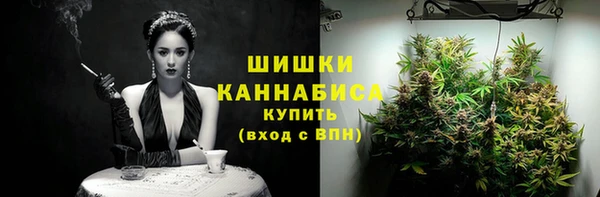 стафф Мегион