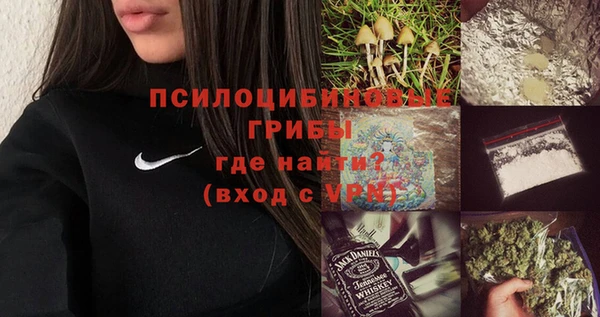 тгк Абаза
