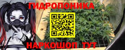 сатива Гусев