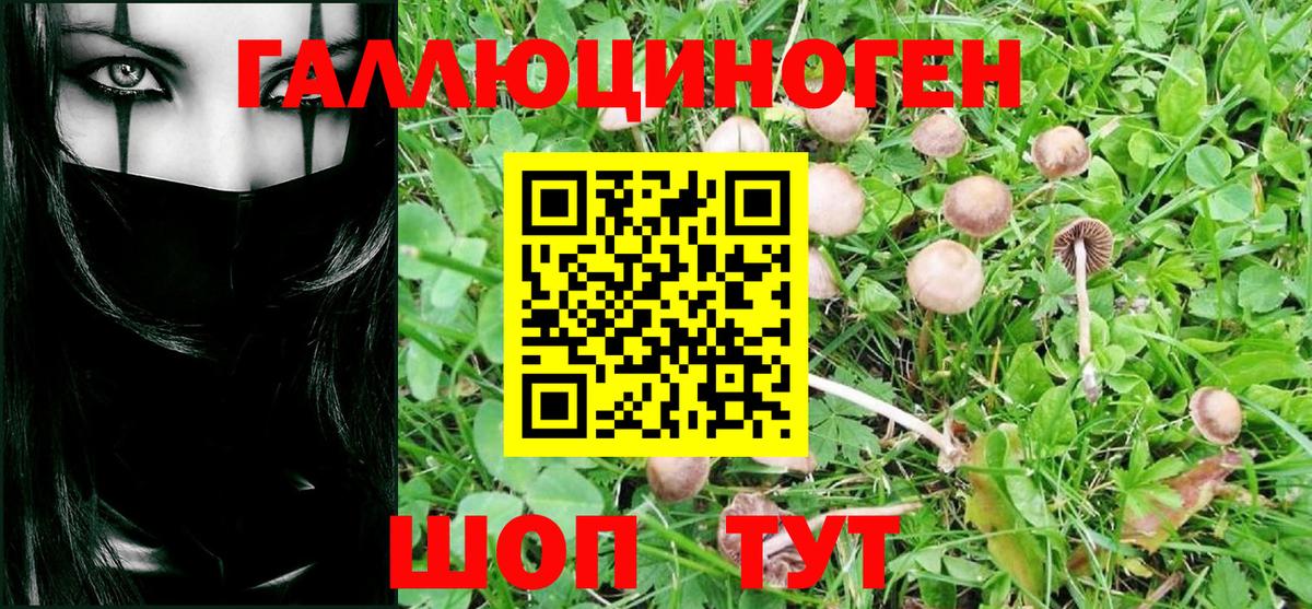 Галлюциногенные грибы MAGIC MUSHROOMS  Железногорск  Галлюциногенные грибы Psilocybe 