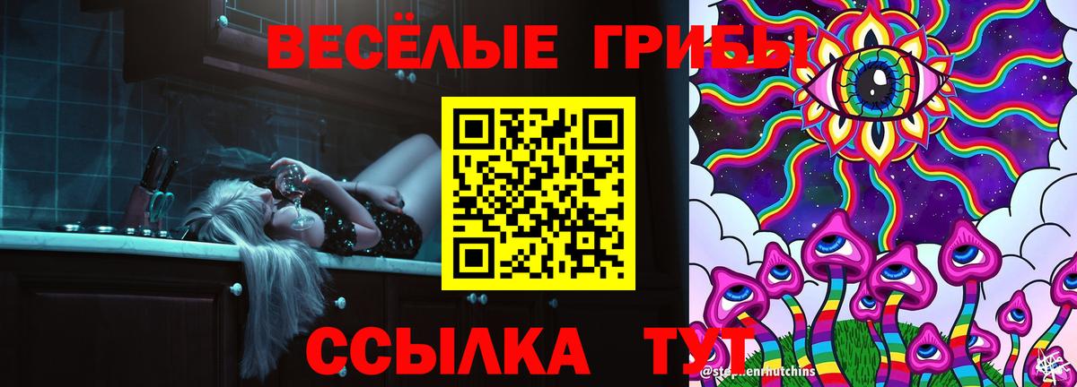 Псилоцибиновые грибы Magic Shrooms  хочу   Вход с VPN  Железногорск  Псилоцибиновые грибы Psilocybine cubensis 